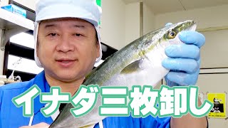 イナダ三枚卸し【岩船港鮮魚センター】