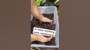 ⬅️⬅️Best SOIL MIX DIY 🌱👌BYE ROOT ROT❗️CHUNKY-AIRY-DRAINING plant media #plant #soil #diy #houseplant