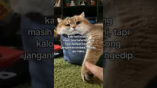 Download Lagu 22 September 2025 MP3 Download Lagu 22 September 2025 MP3