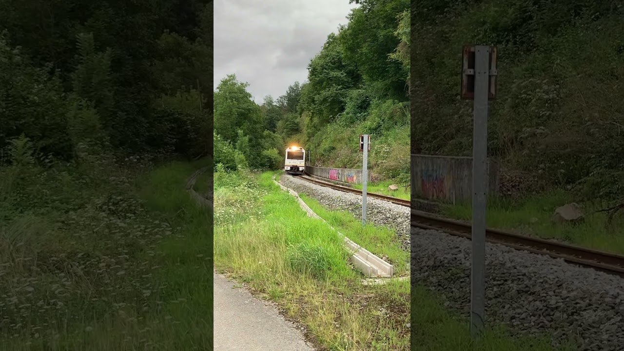 #trenes megapitada en Cantabria en paso a nivel sin barrera #train #renfe #trains #shorts
