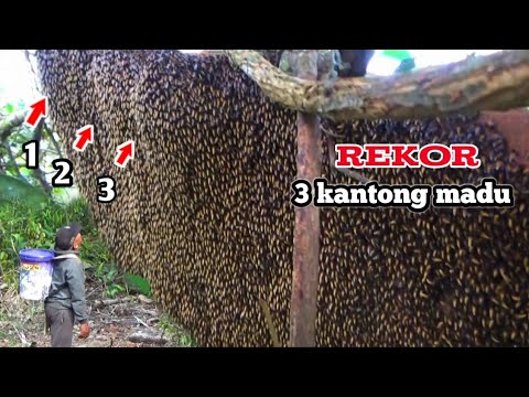 Tenxi, Naykilla \u0026 Jemsii - Garam \u0026 Madu (Sakit Dadaku) (Official Music Video)