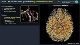 ISMRM 2021 Vascular connectome