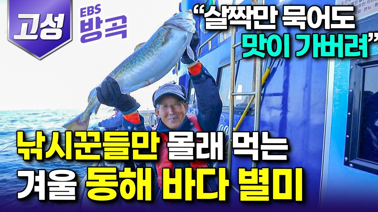 [강원 고성] 도시 직장 관두고 고향 바다로 돌아온 아들, 어종 잘 골라 30년 차 선장 이긴 4년 차 어부｜새벽부터 북적이는 겨울 낚시 스폿 '공현진항'｜#한국기행 #방방곡곡
