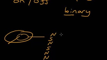 11   Why do computers use binary