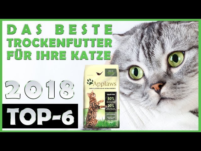 Katzen Trockenfutter Test  Welches Trockenfutter fr Katzen  ist das  beste?  - YouTube