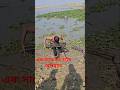 Unbelievable 3 big eell fish catching at a time  #fishing #fish #viralvideos #shorts