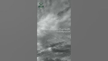 سورة السجدة • مكية • بصوت ياسر الدوسري | عدد الآيات: 30 #قرآن #Quran #تلاوة #قرآن_كريم #السجدة
