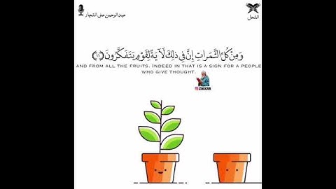 القرآن الكريم بصوت جميل ♥🎤 أجمل حالات واتس اب دينية مقاطع دينية قصيرة مقاطع انستقرام دينية