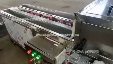 500kg onion root and tail cutting machine