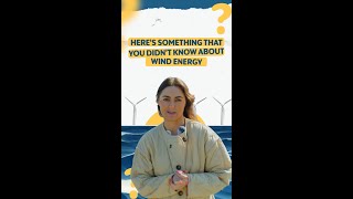Myth Busting Offshore Wind: The Truth About Environmental Impact