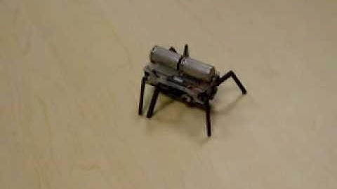 Miga NanoMuscle Bug Challenge