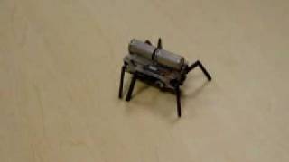 Miga NanoMuscle Bug Challenge