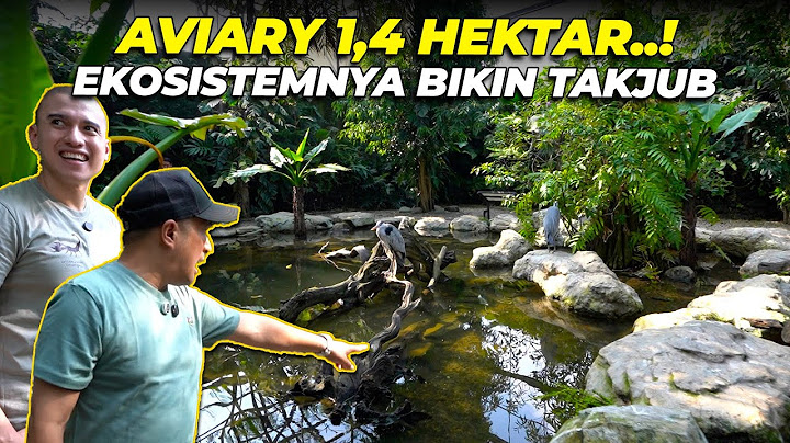 KEMBALI LAGI KE AVIARY 1,4 HEKTAR..! MAKIN RIMBUN, MAKIN BANYAK HEWAN YG GW BELUM PERNAH LIAT