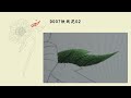 Leaf Part 002 of “Iron Chopsticks&quot;(Helleborus)|Hand Embroidery|「蘇州刺繡•鐵筷子002」D007