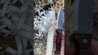 ⚡ How to make feather stick with Condor Bushlore featherstick making feathersticking demo test