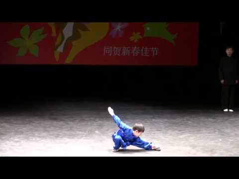 Chinese Kung Fu Performance (Vincent Gao and Shang...