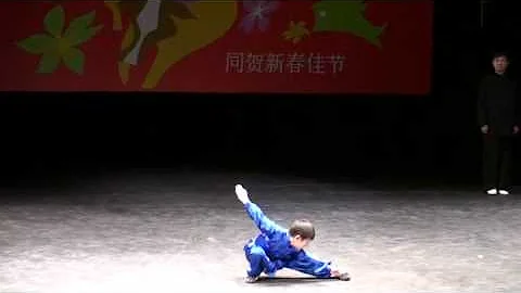 Chinese Kung Fu Performance (Vincent Gao and Shang...