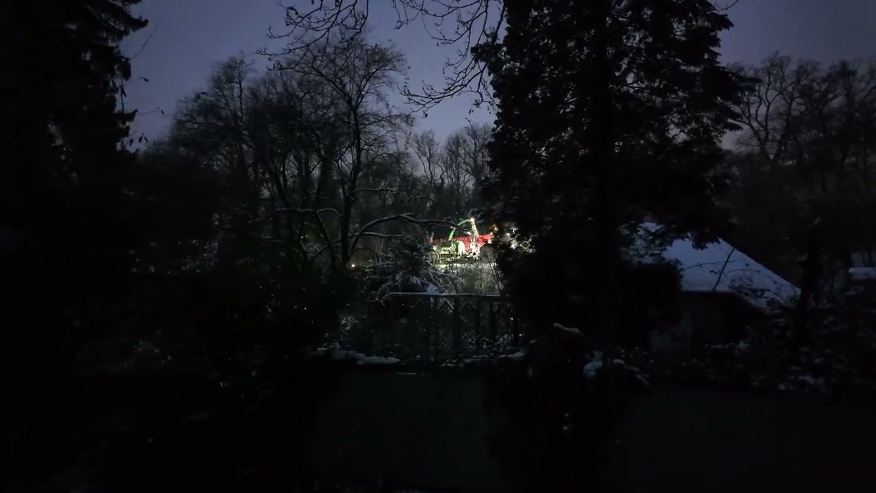 29.1.26 Rodung in Ricklingen am Südschnellweg in Hannover in der Leinemasch