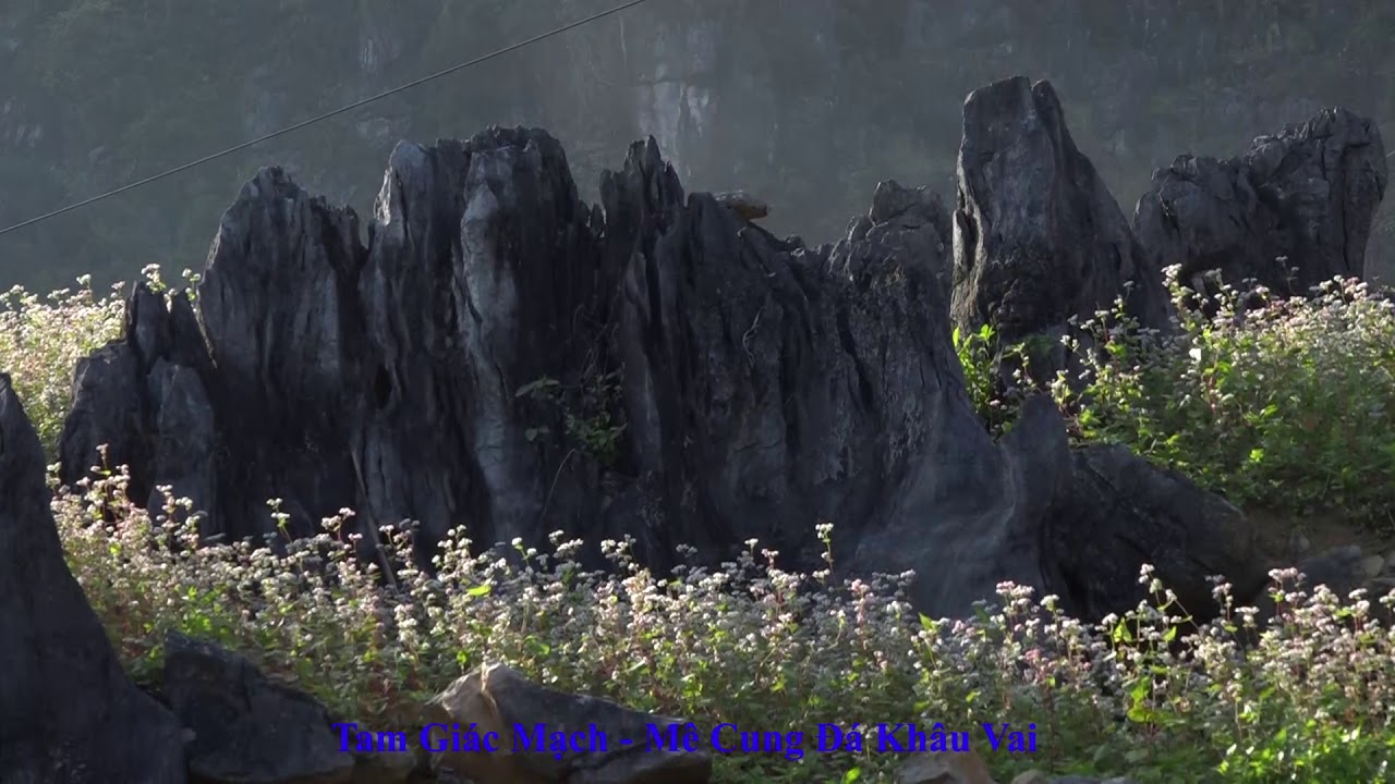 Tam Giác Mạch   Mê Cung Đá   Khâu Vai