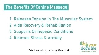 The Benefits Of Canine Massage - Your Dogs Life - Cambridgeshire