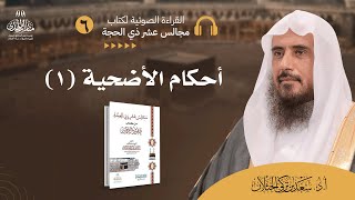 (6) القراءة الصوتية لكتاب مجالس عشر ذي الحجة - (الدرس السادس: أحكامُ الأضحيةِ (1)).