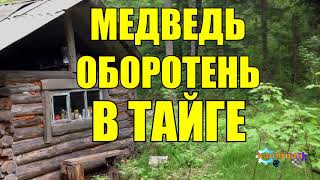 МЕДВЕДЬ| ОХОТНИК-УБИЙЦА | УБИЙСТВО В ТАЙГЕ МЕДВЕДЬ| ОХОТНИК-УБИЙЦА | УБИЙСТВО В ТАЙГЕ