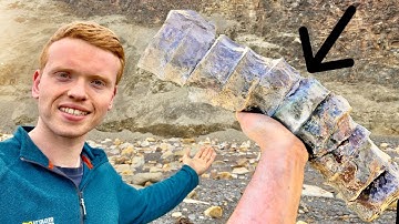 Hunting an Extinct Ichthyosaur SPINE! | Fossil Hunter