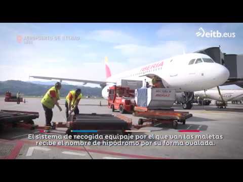Vídeo: Com Transportar Peix En Avió