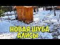 ЛИ СЯО. Лиса - Алиса. О красивой лисьей шубе. Забавные моменты.