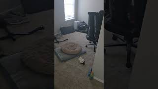 Dupe bed drop #HCIM progress #funny #gaming