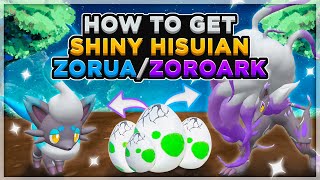 How To Get Shiny Hisuian Zorua \& Zoroark In Pokemon Scarlet And Pokemon Violet