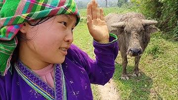 Hát nùng gái Nùng vui tính nhất Việt Nam  l hài nùng tiếng nùng hài hước #hainung