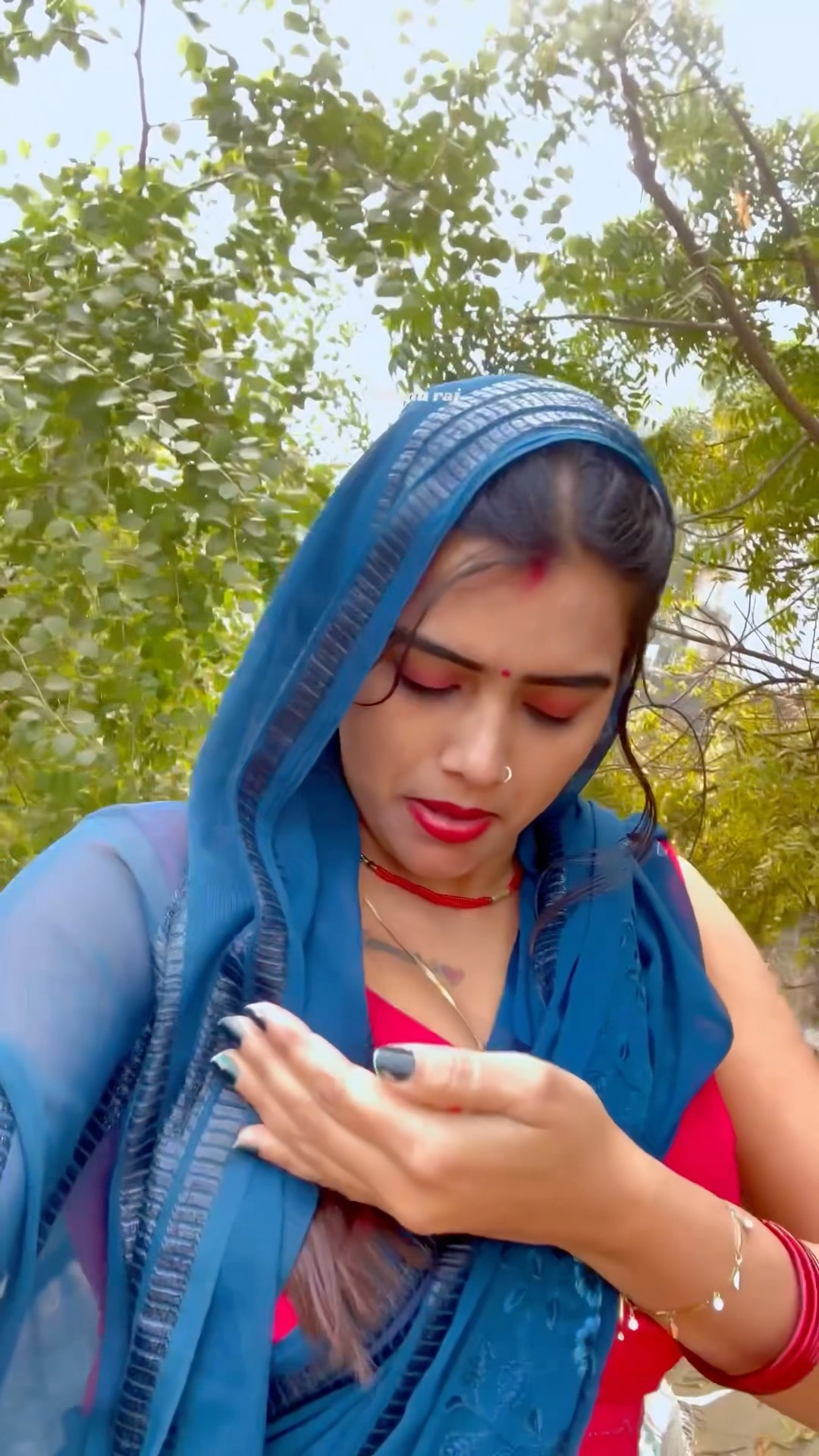 हमारे घर की झाड़ी में लगे बेर #shorts #meenu #trending #ytshorts #youtubeshorts