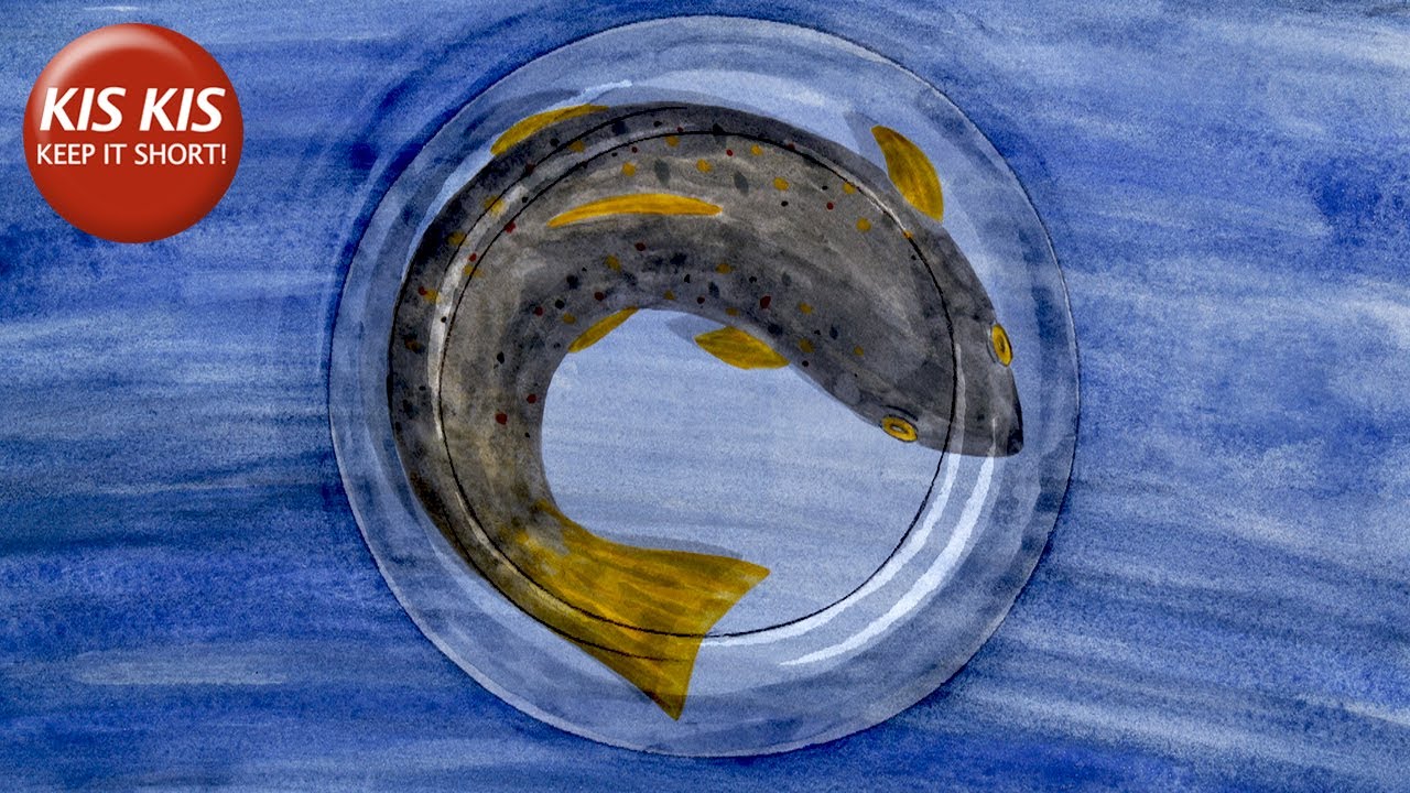 Animated poem on the endless loop of the ecosystem | "Circuit" - by Delia Hess