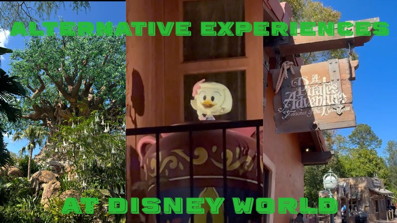 Alternative Experiences For Sensory Issues at WDW