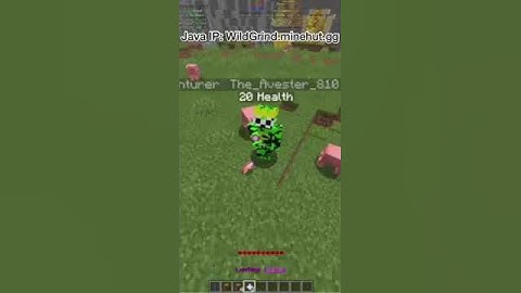 THIS NOOB JOINED MY MINECRAFT SERVER #shorts