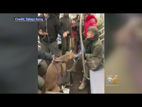 Dog Attacks Woman On Subway