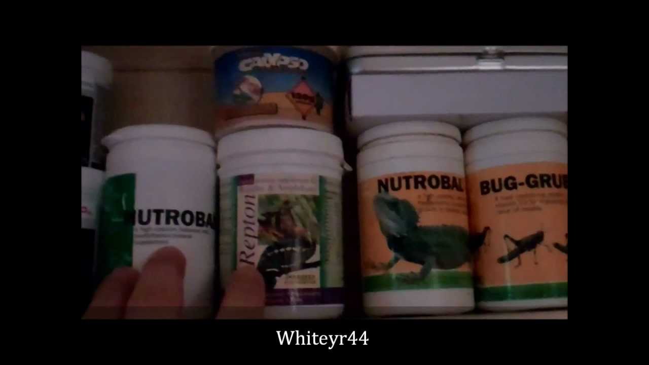 bosch alarm system Whiteyr44 Reptile Room Updates 2012 + Savannah Monitor Update