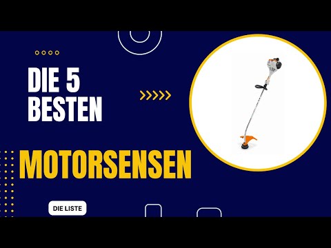Die 5 Besten