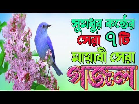 Bangla Best Gazal |মায়াবী কন্ঠের ৭টি গজল |হৃদয় ছোঁয়া সেরা ৭টি গজল |খুবই দুঃখের ৭টি জিকির ও গজল 