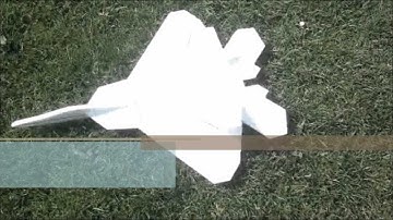 Scratch Built Free Flight F22