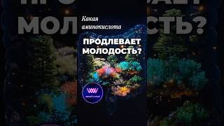 Какой орган отвечает за молодость? Цистеин против старения #зож #биохакинг #westwood_таблетницы