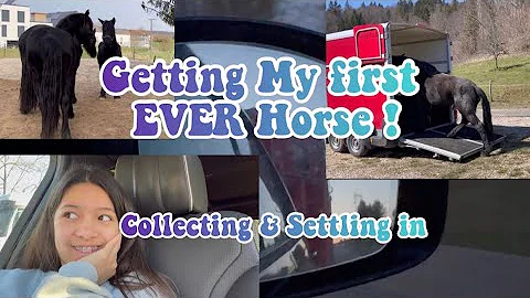 Getting My First EVER Horse - Collecting Her  a Me...