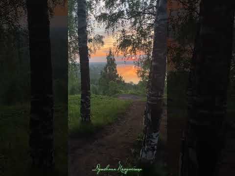 Вятка. Ранний Рассвет! Автор видео Евгений Карепанов #эстетика #гармония #природа