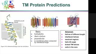 Bioinformatics servers and databases for studying proteins 6-1