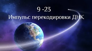 9 -23 Импульс перекодировки ДНК (7-8-9 Лемурийских слоёв) 9 -23 Импульс перекодировки ДНК (7-8-9 Лемурийских слоёв)