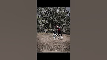 #hamukaka