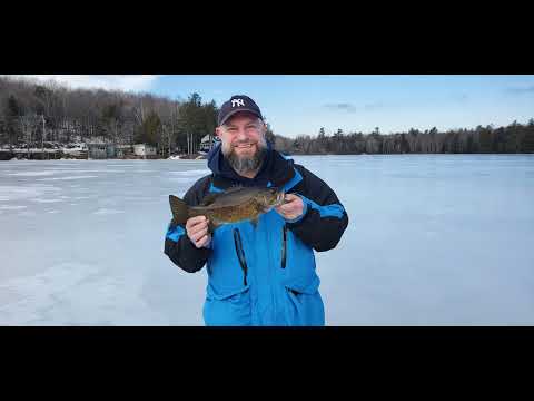 New Hampshire Ice Fishing 2022 Smallmouth Bass