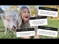Do I Get Tired Of Having All These Animals?? Answering Your Assumptions About Me | Having 40+ Pets!