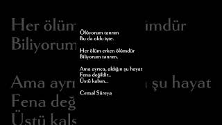 Üstü Kalsın... Cemal Süreya